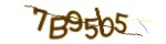 Mã bảo mật